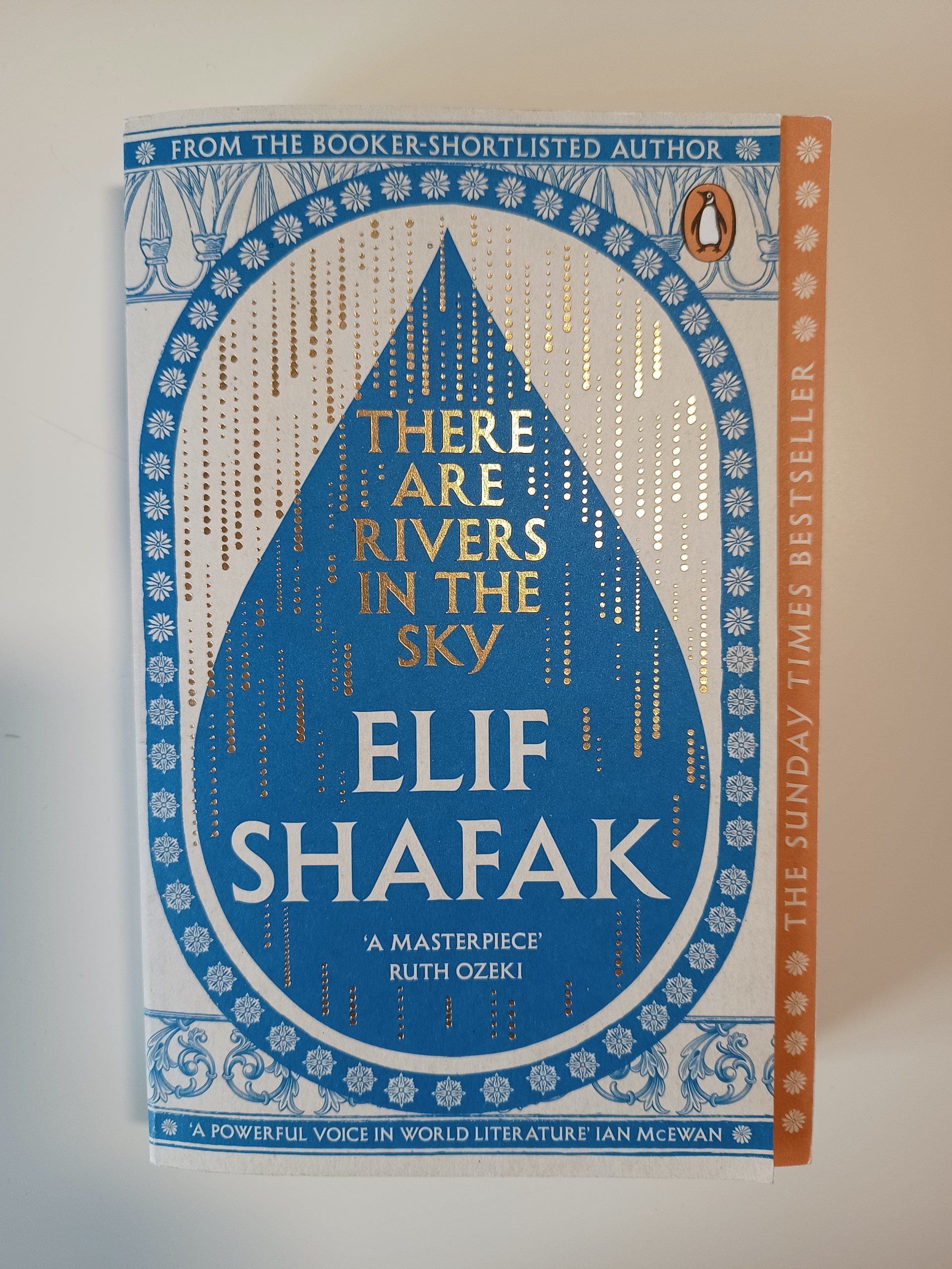 There Are Rivers In The Sky - Elif Shafak