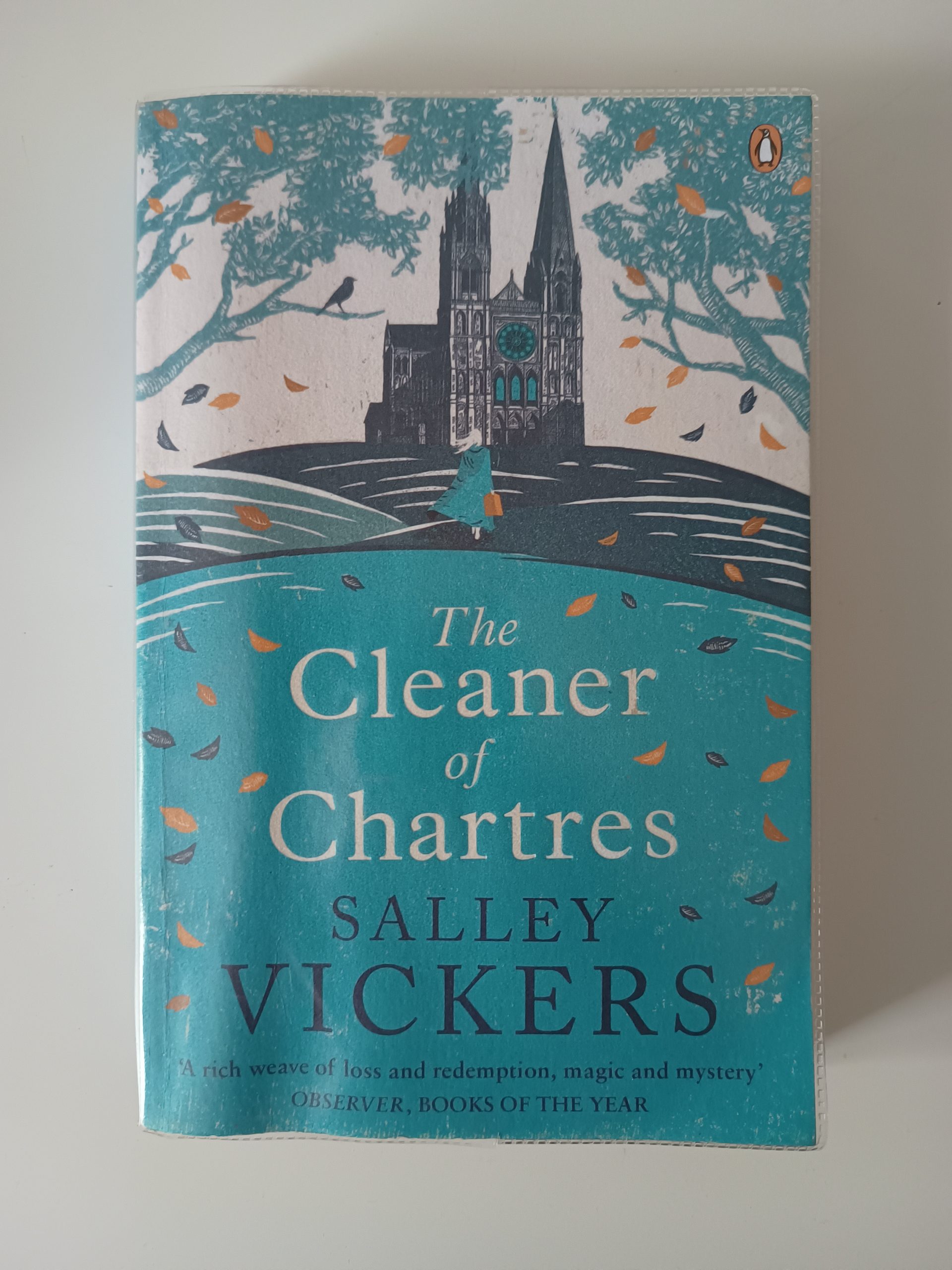 The Cleaner of Chartres - Salley Vickers