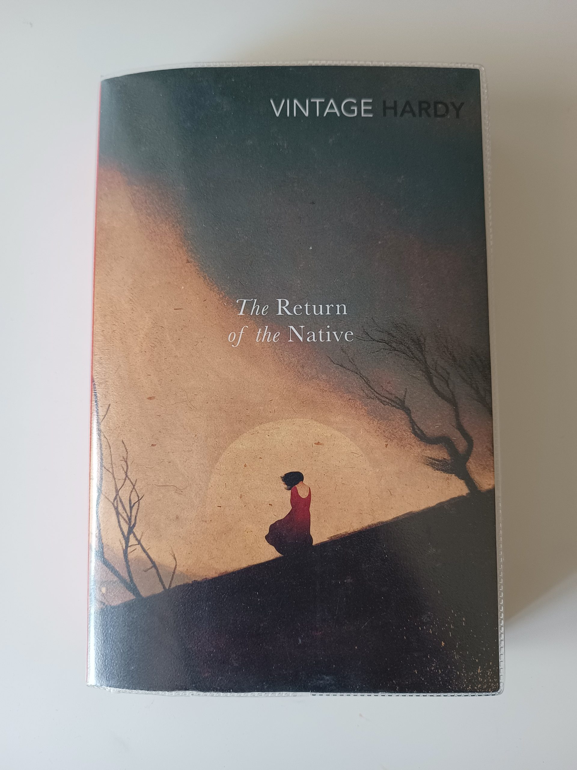 The Return of the Native - Thomas Hardy