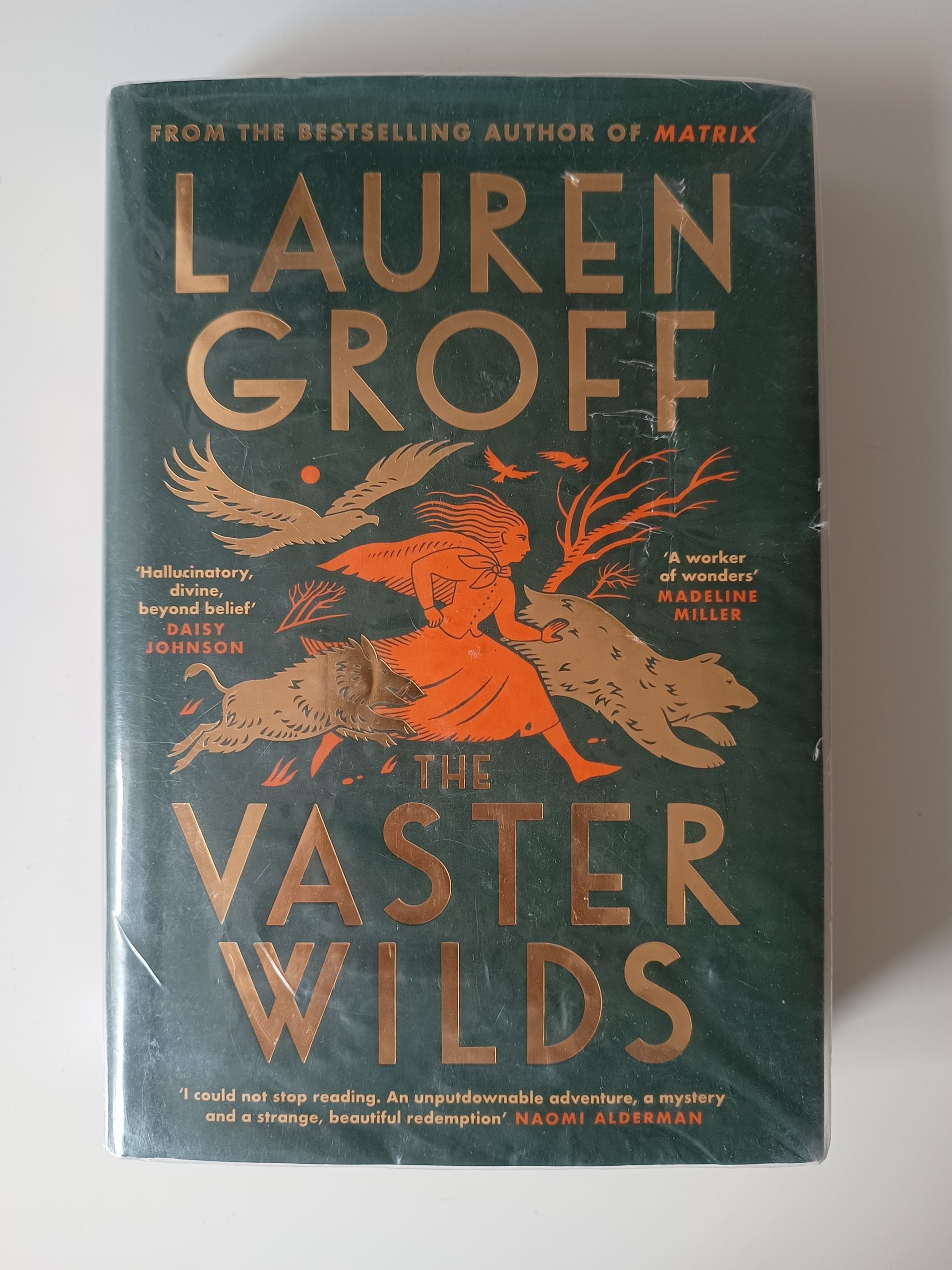 The Vaster Wilds - Lauren Groff The Vaster Wilds - Lauren Groff