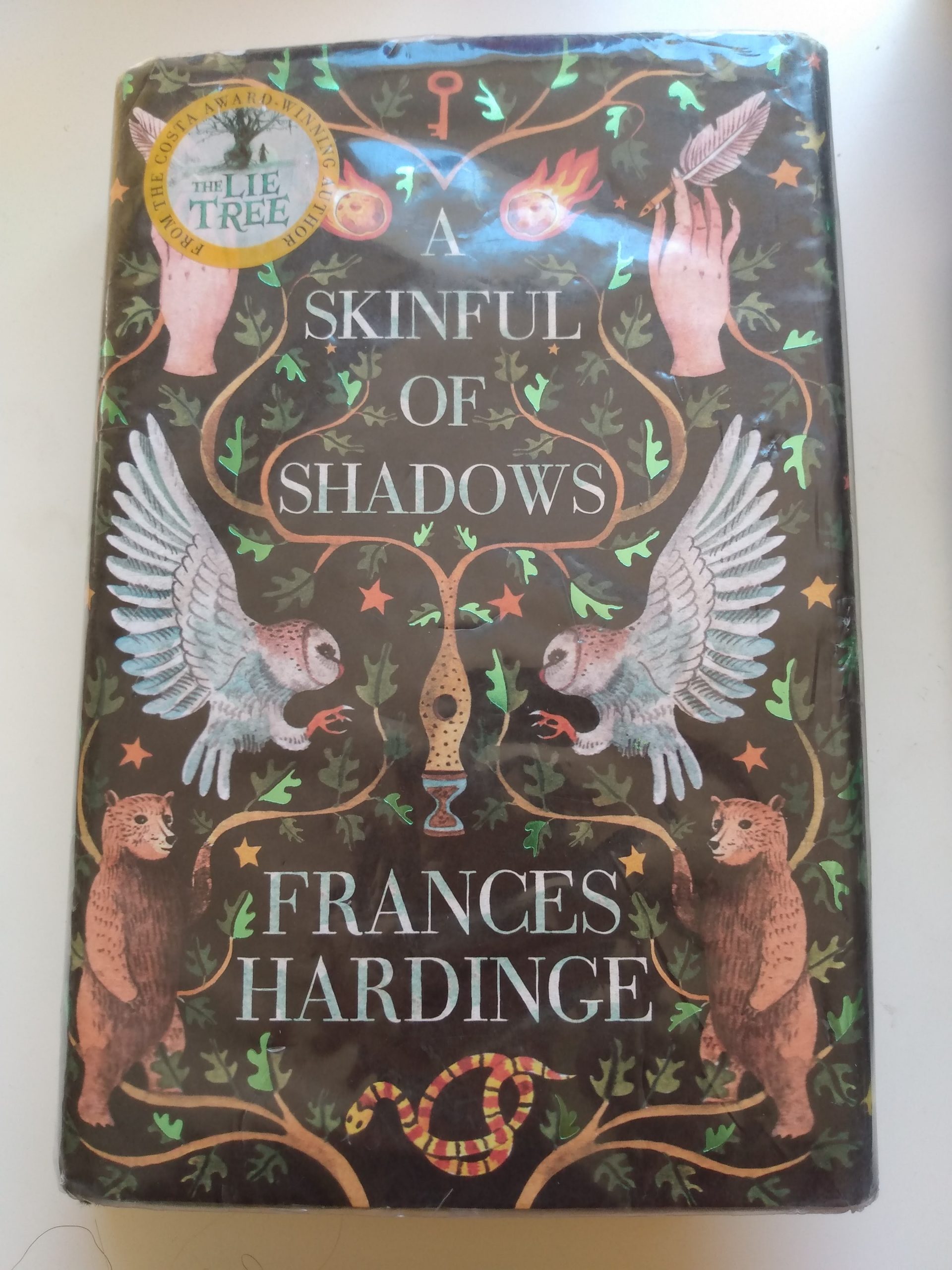 A Skinful of Shadows - Frances Hardinge